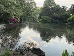 -西湖外事游船(花港观鱼码头)