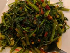 -文东记(马里士他路)