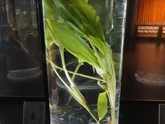 -广东中医药博物馆