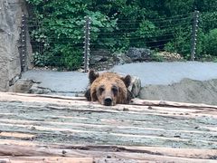 -北京动物园-畅观楼