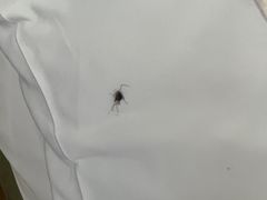 -阳澄湖费尔蒙酒店