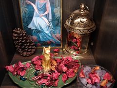 -雪灵魔法世界SHELLY’S TAROT(大良桂畔里店)