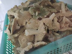 -双喜农庄·菌香园(安居家园店)