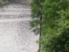 -重庆彩云湖湿地公园