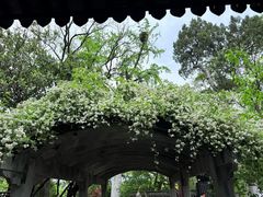 -东湖景区