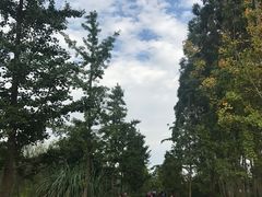 -白鹭湾湿地公园