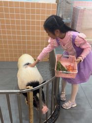 -Moni星球萌宠·小马宝莉·灵蛇·高端高阶全萌宠互动体验俱乐部(红豆国际广场店)