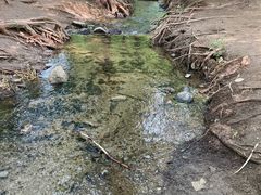 -白水寺森林公园