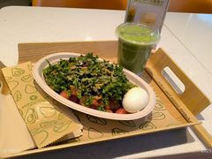 -油梨树 AVOCADO TREE(亮马桥店)