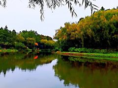 -新江湾城公园