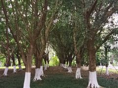 -西南政法大学(沙坪坝校区)