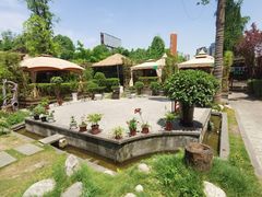 -二荆条·蜀鲜汇城市森林火锅