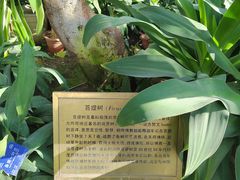 -国家植物园南园