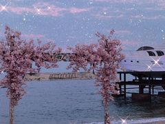 -北戴河碧螺塔海上酒吧公园