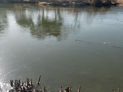 -长广溪湿地公园