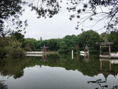 -青龙山国家森林公园
