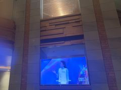 -浅深Cheersum(曹杨店)