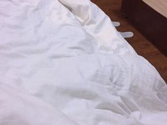 -东阿阿胶文化酒店
