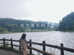 -武陵山森林公园