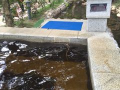 -江门古兜温泉小镇