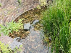 -三鹰之森吉卜力美术馆