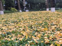 -重庆市江北嘴中央商务区中央公园