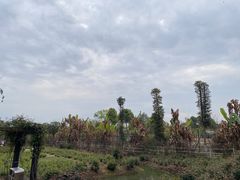 -三圣花乡旅游区