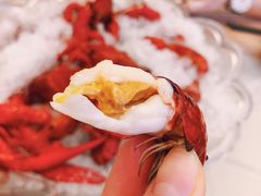 特大冰镇龙虾-指爱龙虾(金杨路总店)