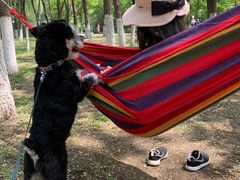 -长白岛森林公园