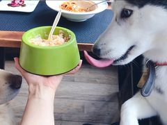 -百好乐宠物友好餐厅(朝外大街店)