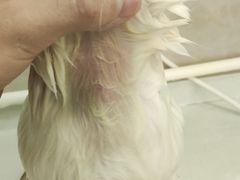 -沐沐家宠物(成寿寺店)