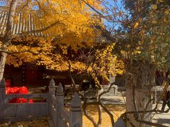 -红螺寺