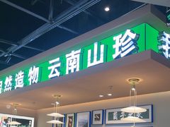 -首开·龙湖成都西宸天街