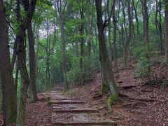 -西湖风景区十里琅珰-五云山