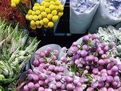 -三圣花乡旅游区