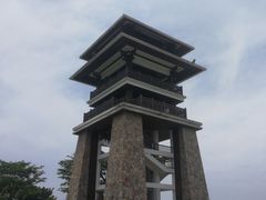 -大湾区中央湿地公园