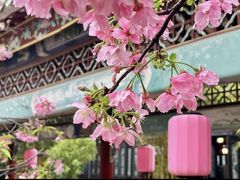 -宝墨园景区