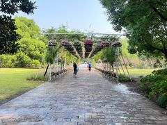 -上海滨江森林公园