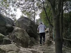 -南山植物园