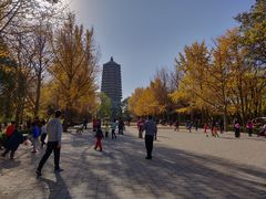 -玲珑塔公园
