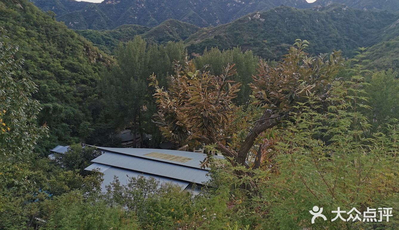 依山而建，满地马陆千足虫和栗子壳儿🌰