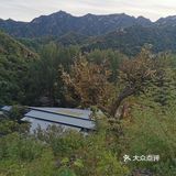 依山而建，满地马陆千足虫和栗子壳儿🌰