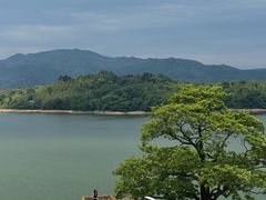 -四明山国家森林公园