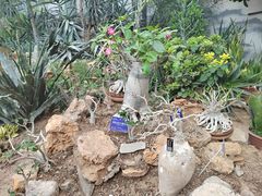 -国家植物园南园