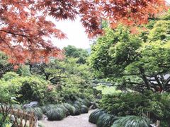 -西湖外事游船(花港观鱼码头)