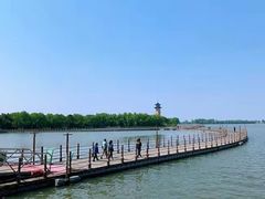 -溱湖国家湿地公园