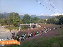 -牛岗山公园