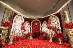 -DNA Wedding 婚礼记(上海店)