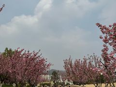 -静之湖度假区