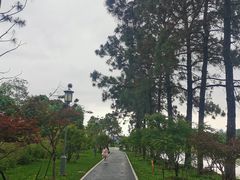 -月湖风景区